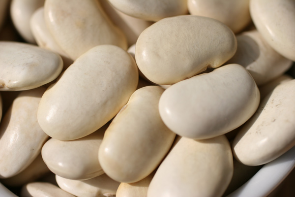 Detail of dry butter beans.