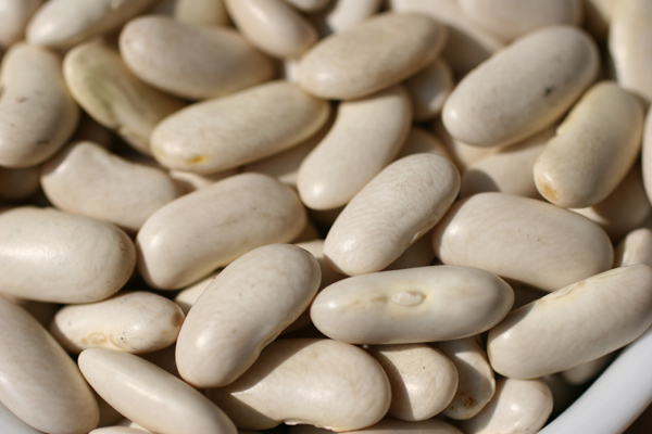 Detail of cannellini beans.