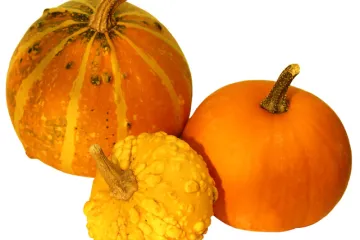 Pumpkins
