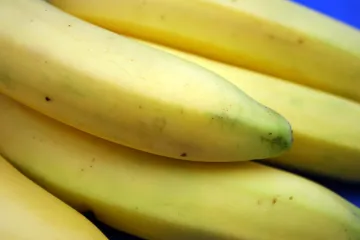 Bananas.