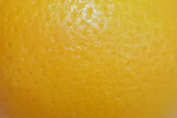 Close up of the skin of an orange.