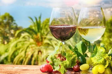 A glass or red wine and a glass of white wine under the Spanish sun.