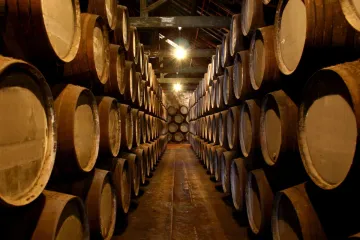 A large Port wine cellar.