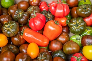 Selection of heritage tomatoes at a farmer's market.