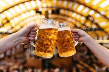 Two hands clinking one-litre dimpled glass beer steins full of pale lager inside an Oktoberfest tent, the yellow ceiling and lights blurred behind them