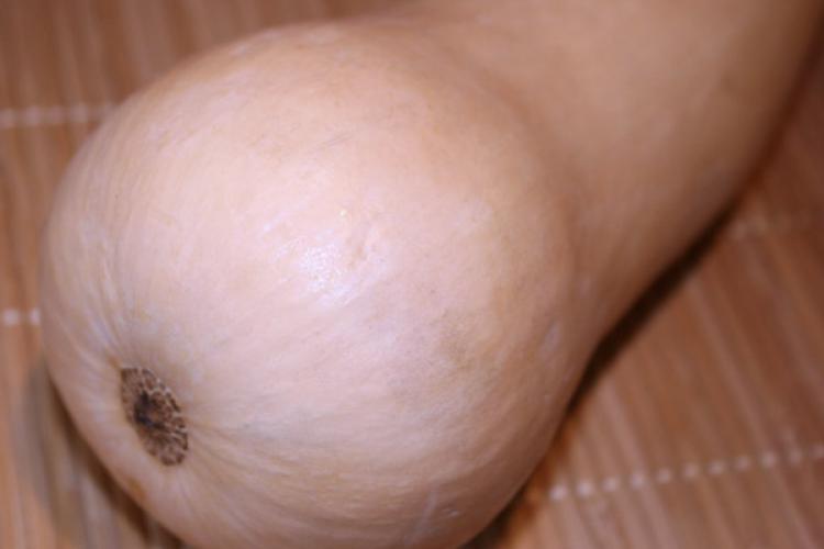 Detail of butternut squash.