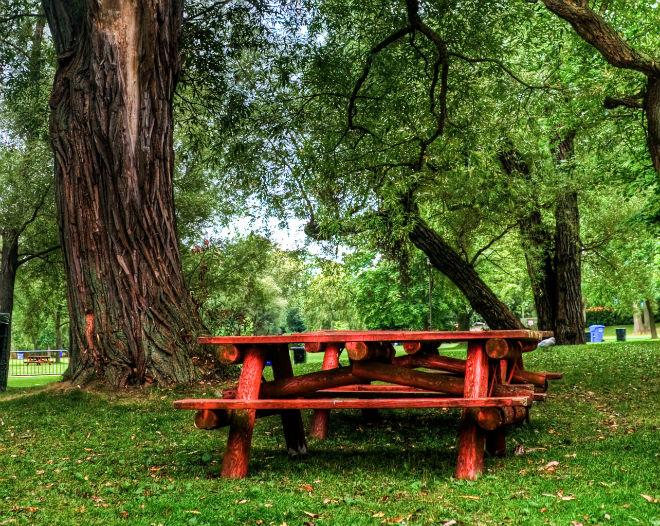 Picnic spot in Toronto.