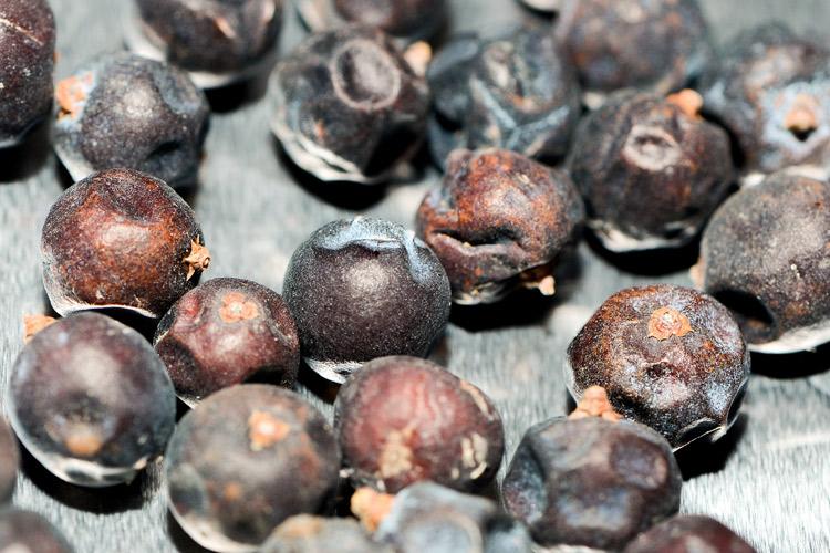 Juniper berries.