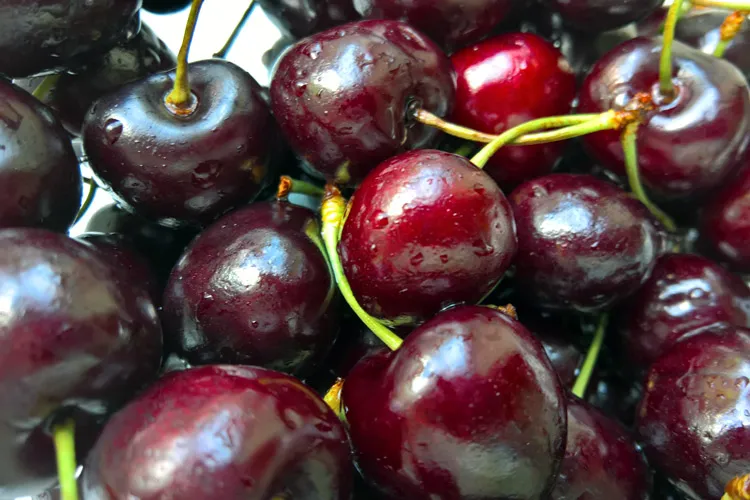You can make cherry wine.