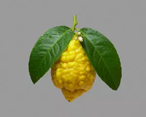 Citron.