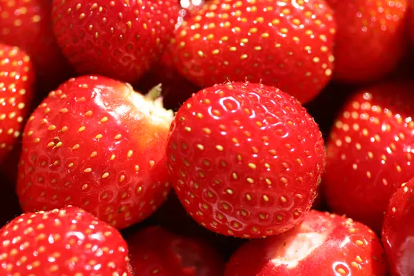Freshly picked strawberries.