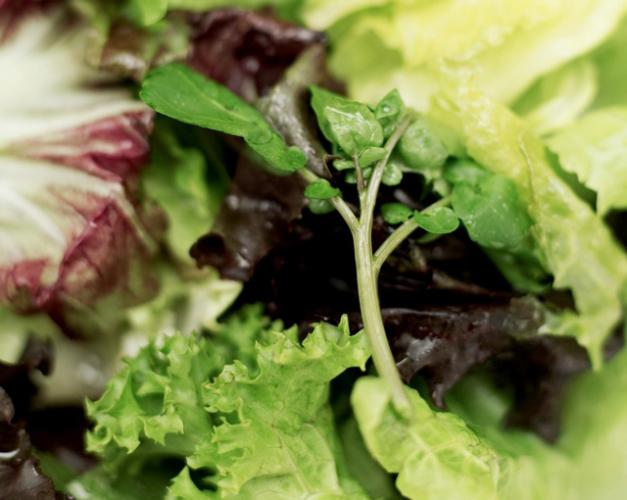 Varied salad leaves.