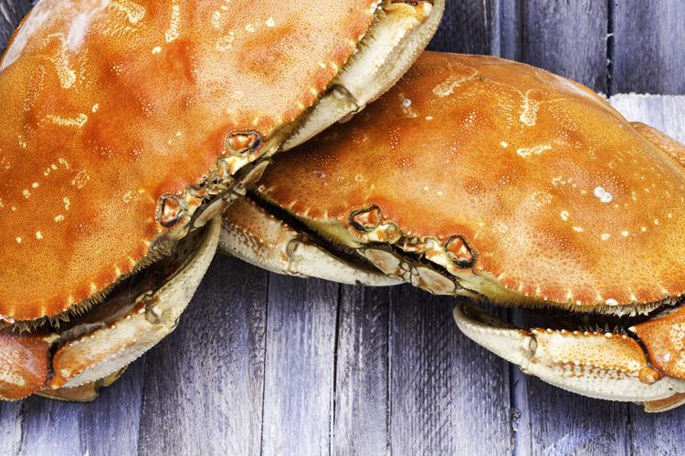 Dungeness crab from Oregon.