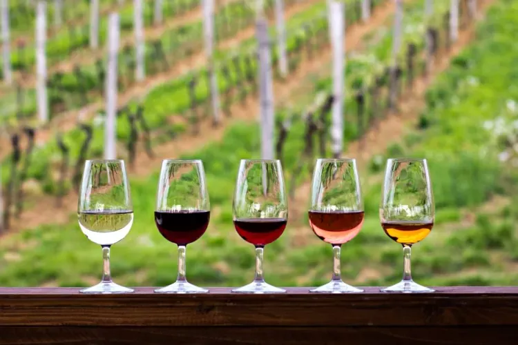 A slection of fine wines in glasses against a vineyard background.