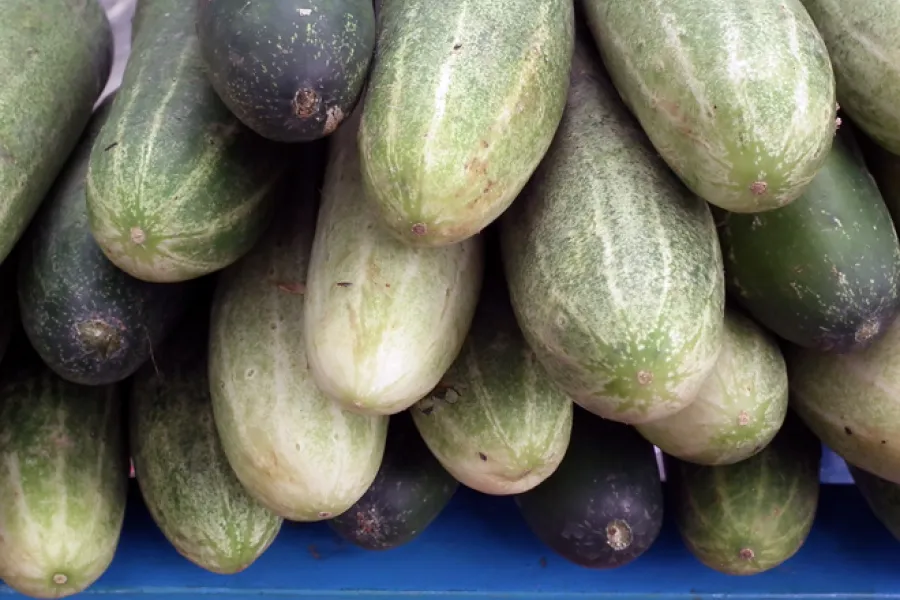 Piled cucumbers.