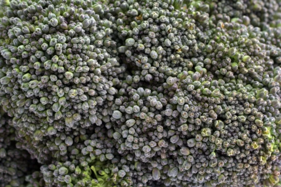 Close up of broccoli.