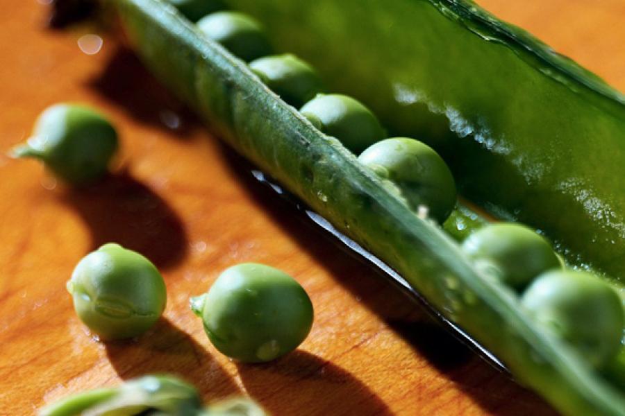 Peas in their pod.