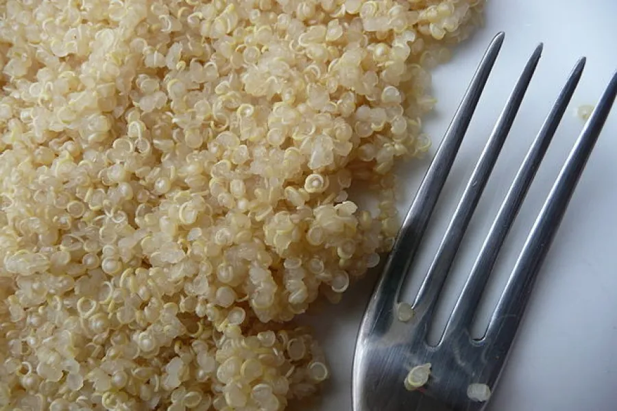 Cooked quinoa.