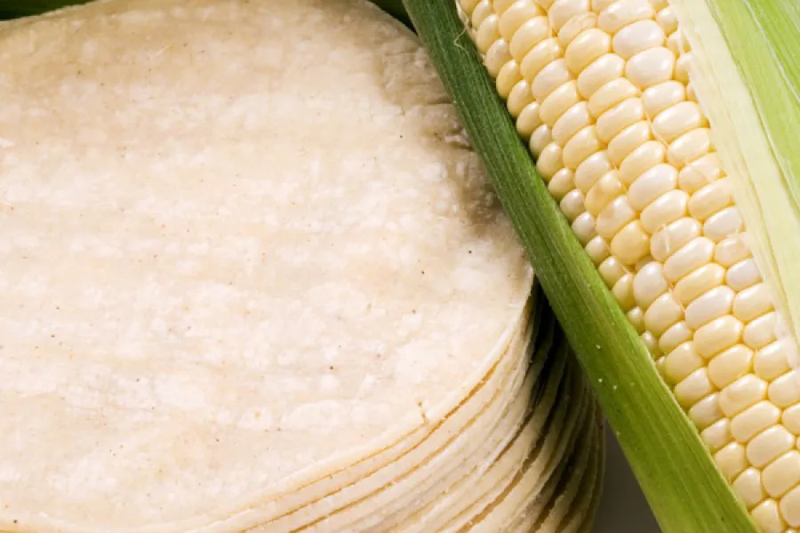 corn tortillas and corn husk.