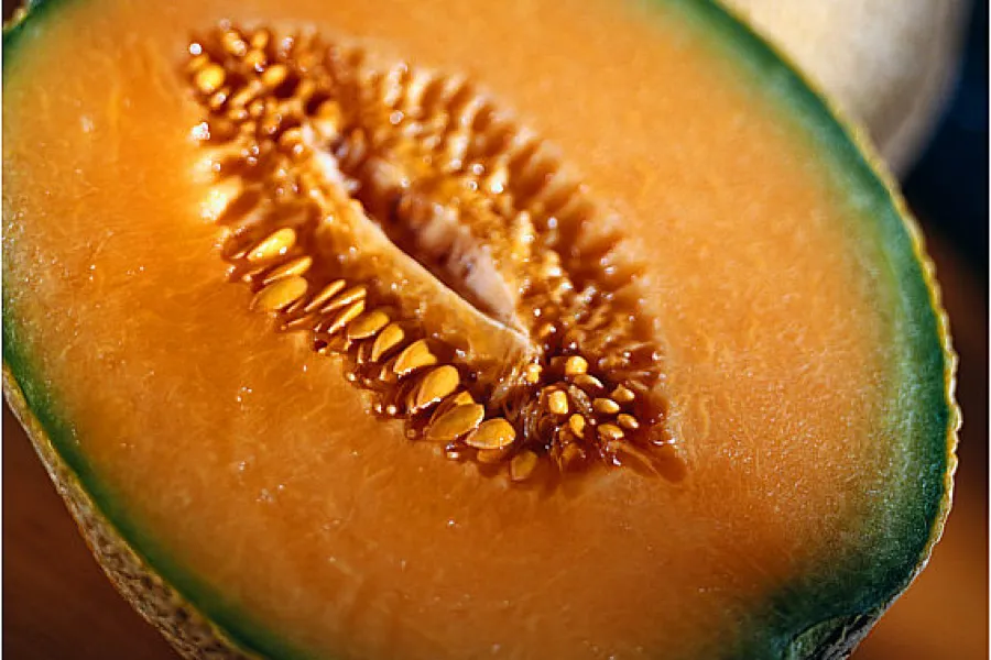 Cantaloupe melon halved.