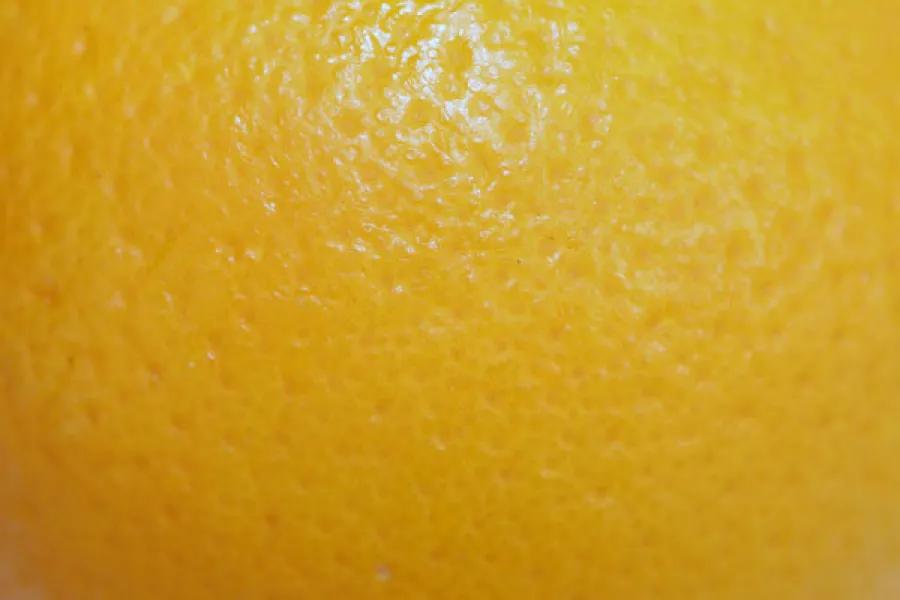 Close up of the skin of an orange.