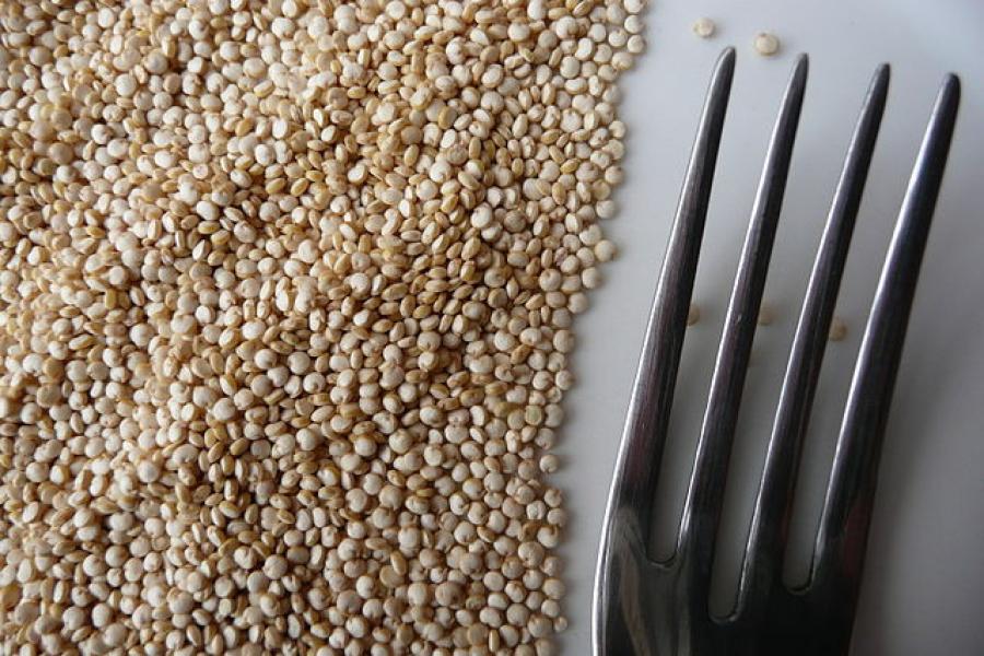 Quinoa.