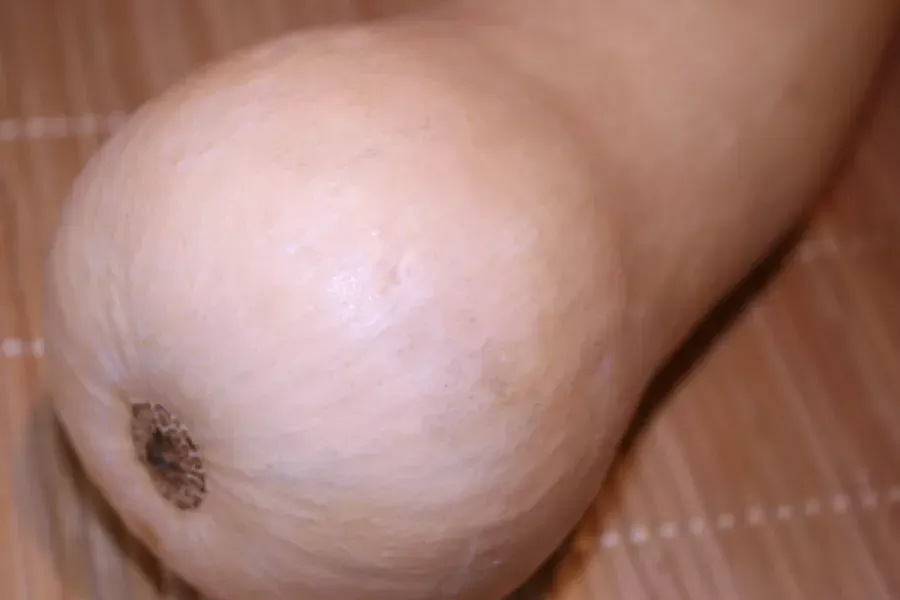 Detail of butternut squash.
