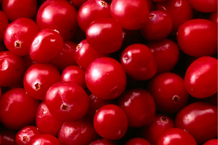 Fresh cranberries.