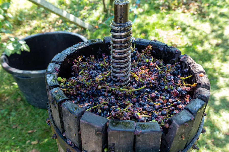 Wine press (old style)