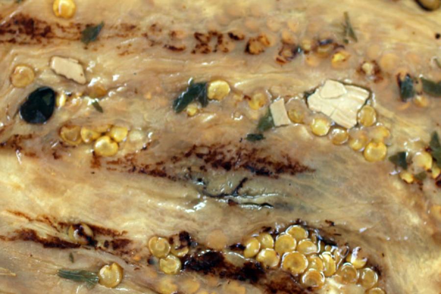 Detail of pickled eggplant.
