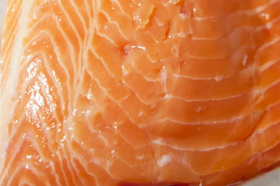 Detail of raw salmon fillet.