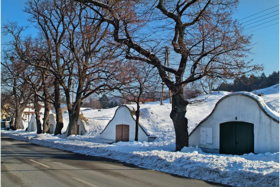 Austrian wine cellar in winter.